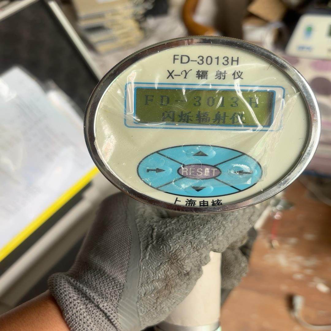 （设备配件）H射线+仪+检测仪3013剂量率-环境监测γFD