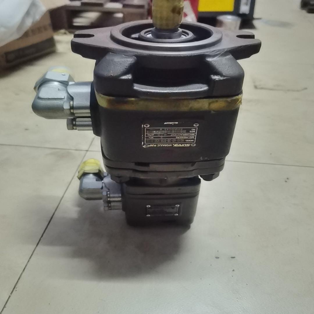 [德峰]Sunny液压油泵，型号HG10-63-20-01R-VSC