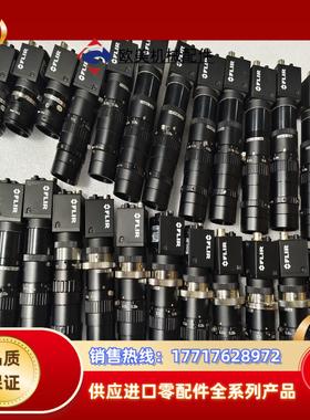 灰点工业相机BFLY-PGE-20E4M-CS议价