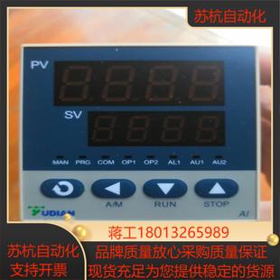 全新原装 宇电温控仪Al517P1个516P4个2 正品