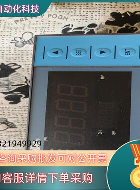 现货东辉仪表DY2000 东辉大延数显仪表