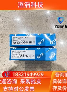 现货WSE250-2P2431 订货号: 6044705