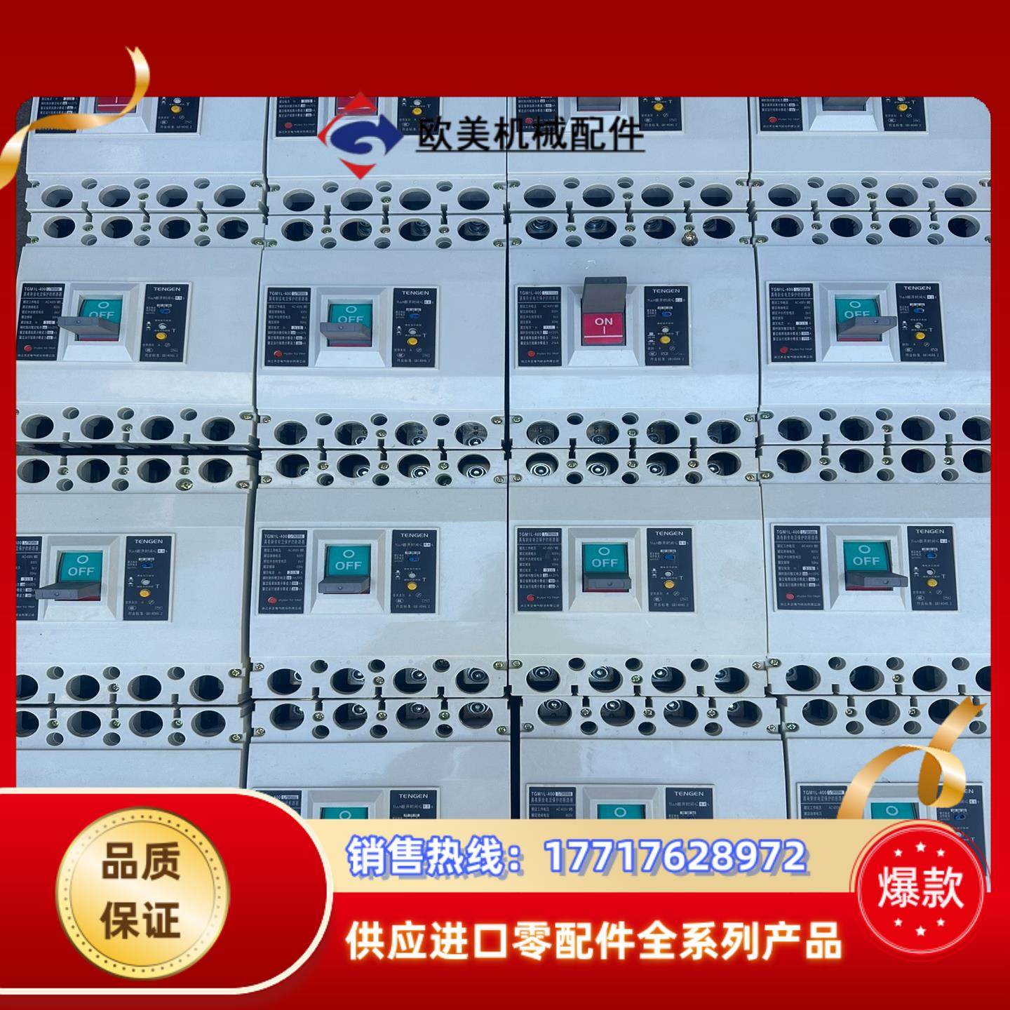 天正TGM1L-400漏电断路器议价