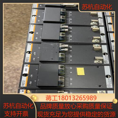 巴赫曼PL C模块 FM212