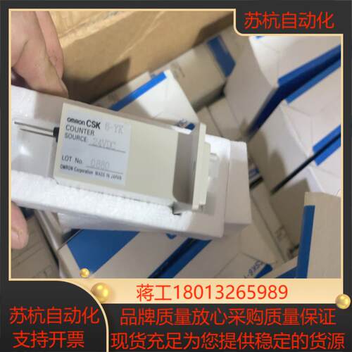 欧姆计数器全新型号CSk6-YkDC24v  全新