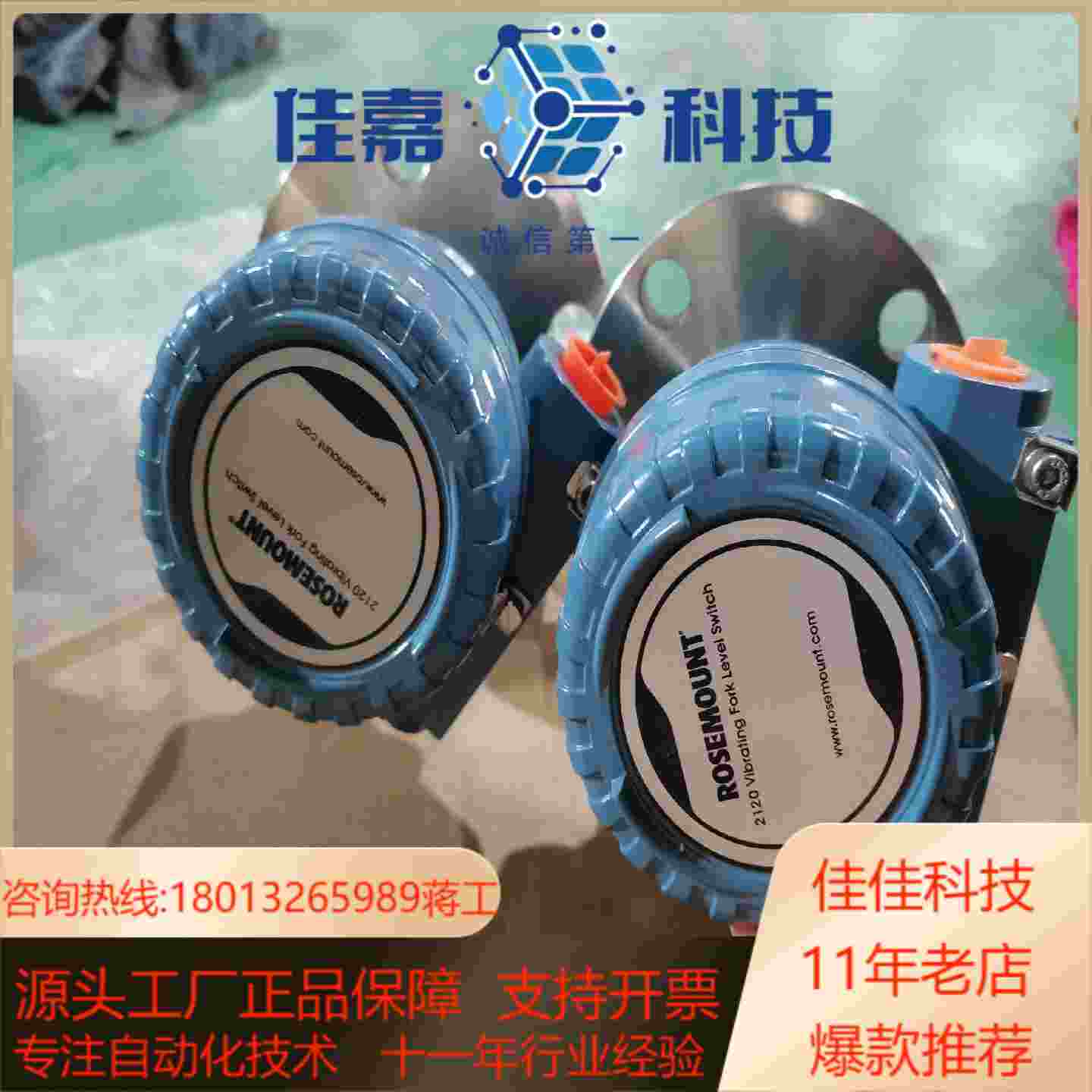 罗斯蒙特音叉液位开关21202120F2GK1I1XM02