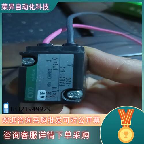 现货CKD电磁阀   FAB21-6-2-12C 24V