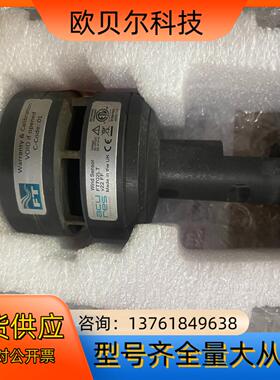 FT风速仪FT702LTV22 FF