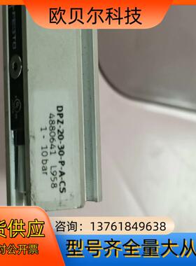 FESTO费斯托 DPZ-20-30-P-A-CS 气缸