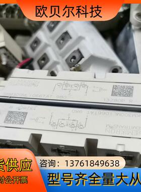 SKM300MLI066TATGD300MLT65C2S