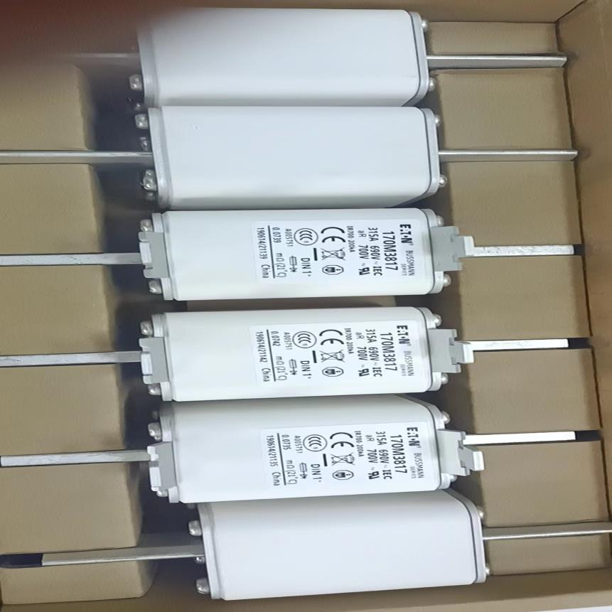 巴士曼BusSmann熔断器LPJ一250SP  170M3