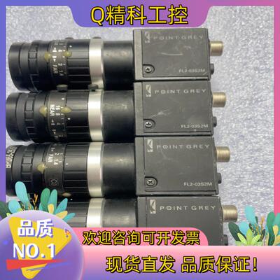 现货POINTGREY Flea2 FL2-03S2M 灰点工业