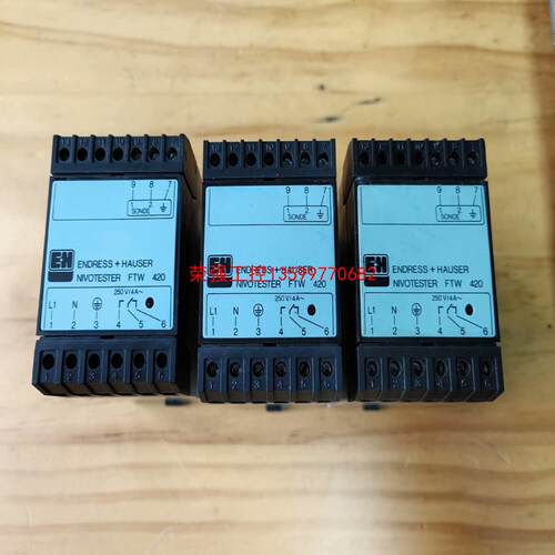 【荣强工控】E+H控制器FTW420 917077-0000 ca.50