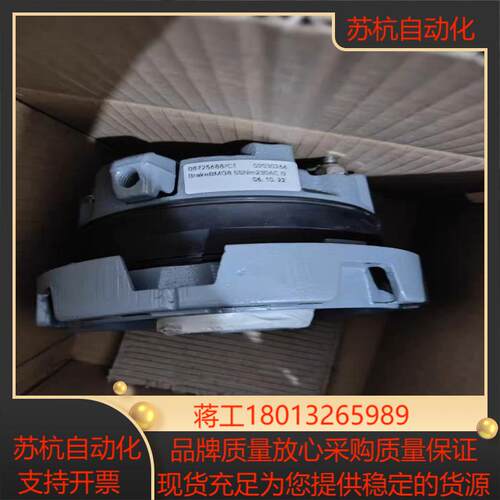 SEW电机制动器刹车抱闸总成BMG8 55Nm~75Nm 2议价