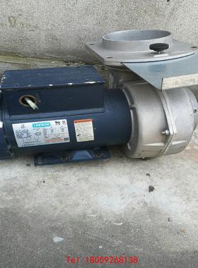 【非标价】LEESON