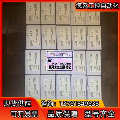 巴鲁夫限位开关：BNS01R5 (BNS 819-B02-R