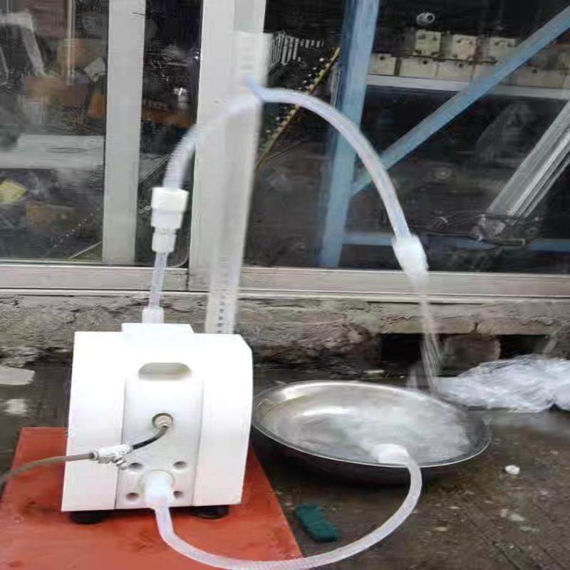 （设备配件）E15TTZ阿玛ALMATEC隔膜泵 正常 迪克功能