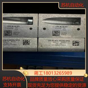 5493 订货号550206 FESTO德国费斯托模块 现货