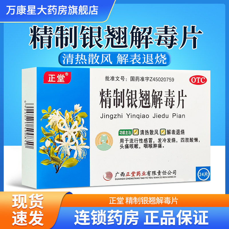 正堂 精制银翘解毒片 24片 流行性感冒咽喉肿痛发热发冷头痛 退烧