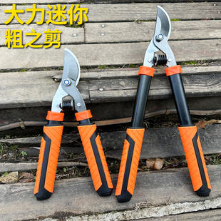 迷你修枝大剪刀园艺果树剪树枝专用大力剪修剪园林粗枝剪大剪子