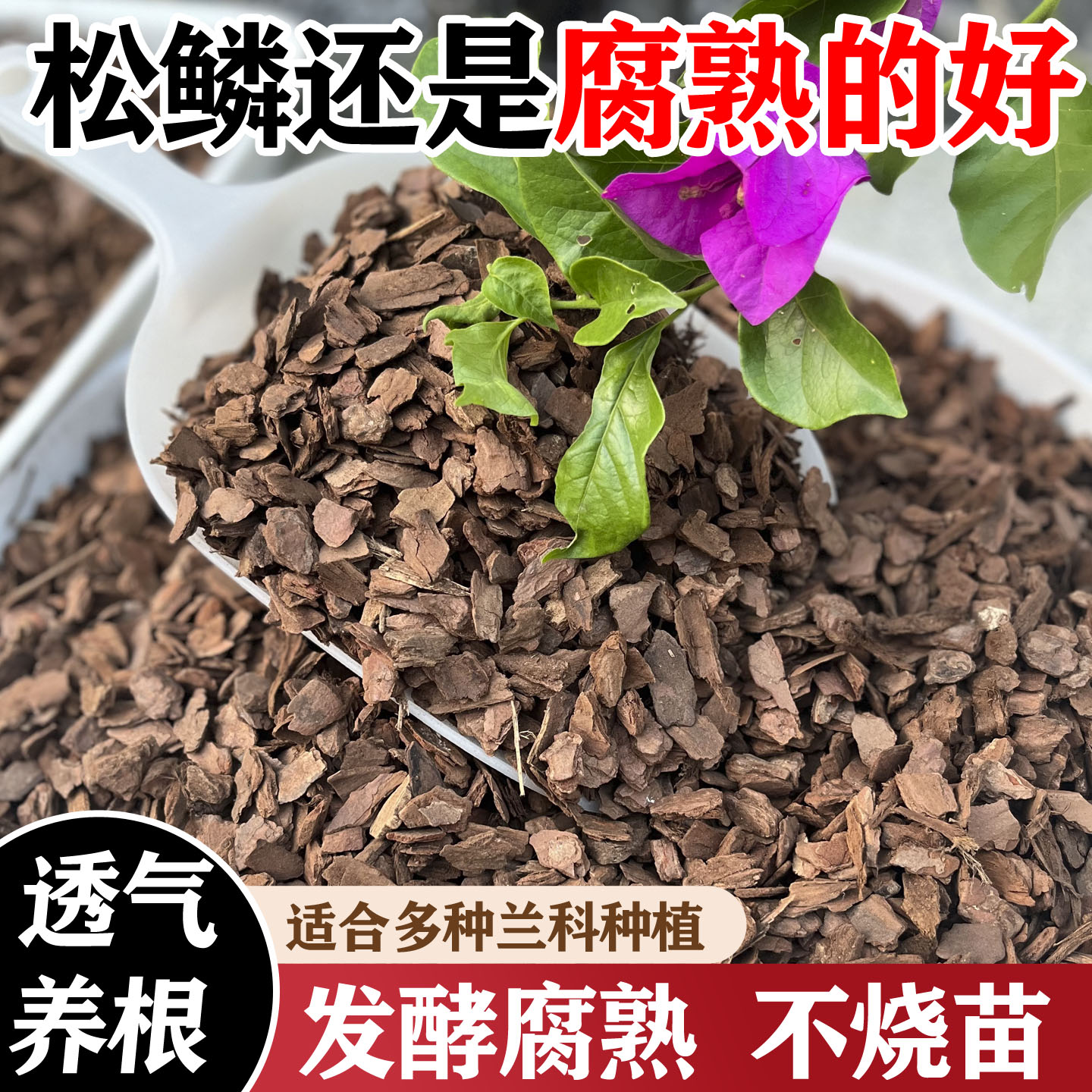 兰花专用松树皮发酵腐熟