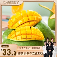 【香菇來(lái)了】新鮮云南大青芒果熱帶時(shí)令水果特大芒果現(xiàn)摘現(xiàn)發(fā)