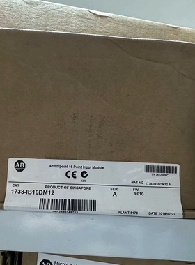 AB罗克韦尔模块 1738-IB16DM12 ~议价