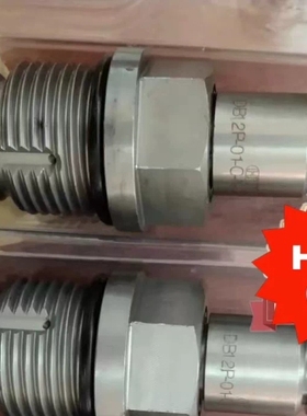 贺德克HYDAC溢流阀DB12P-01-C-N-050V D ~议价