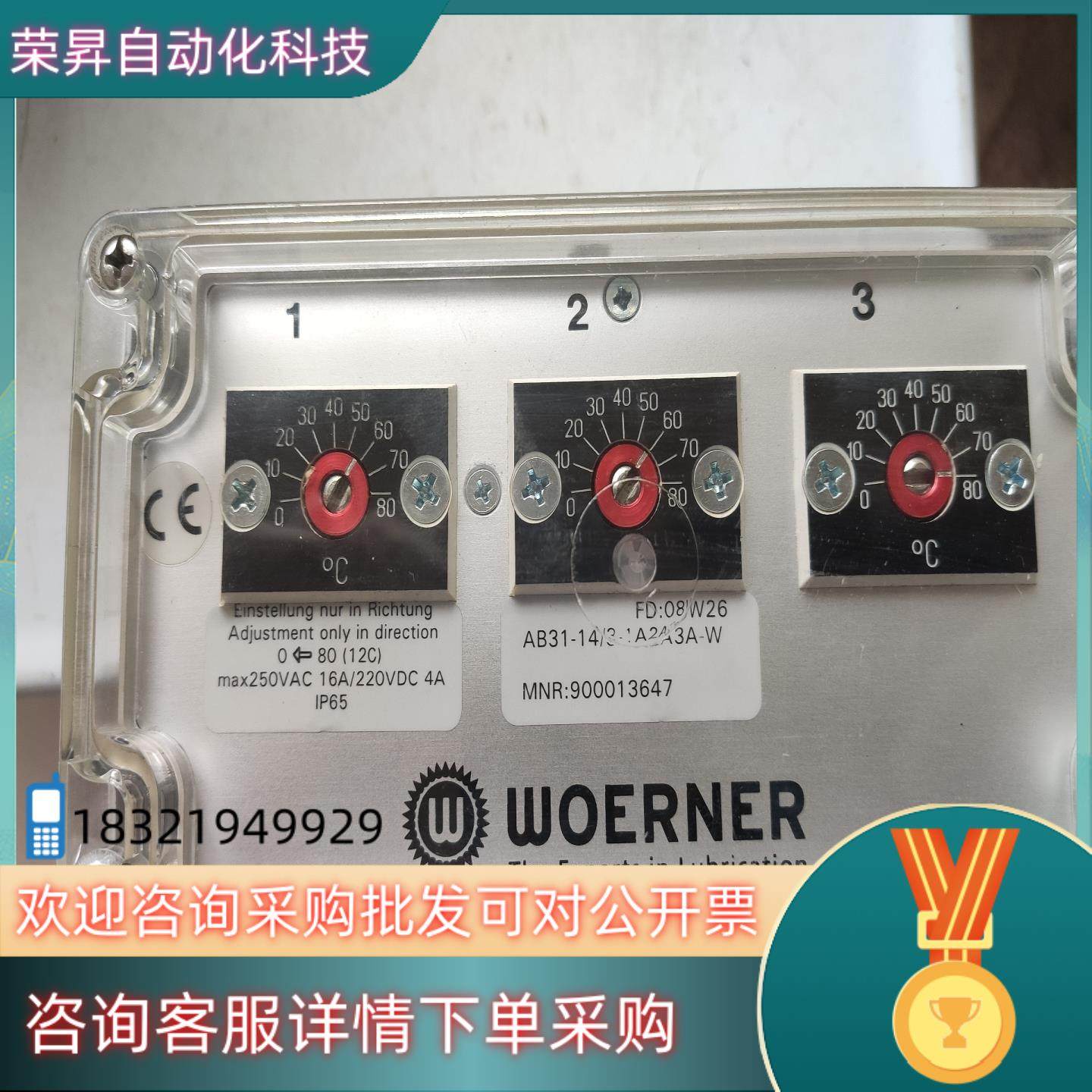 现货WOERNER威纳温度传感器