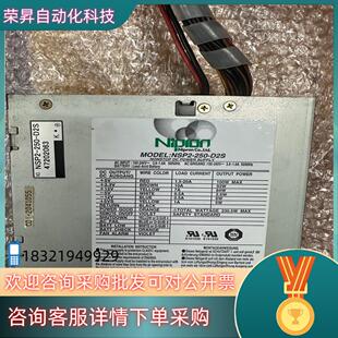 D2S 250 工业设备电源 NSP2 现货Nipron
