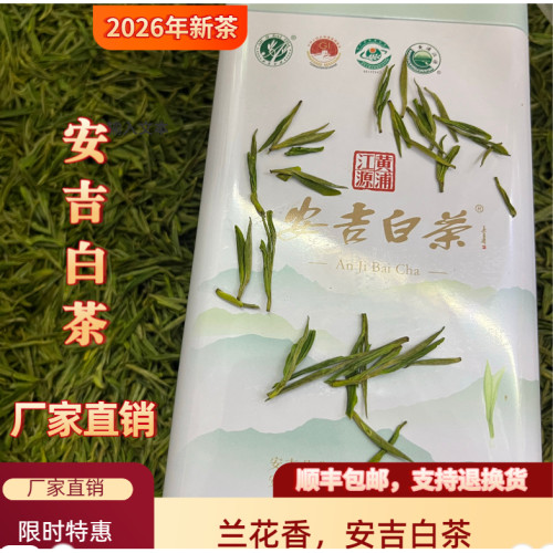 2026年新茶黄埔江源安吉白茶礼盒装白茶新茶春茶明前送礼珍惜