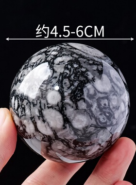 天然虫化石水晶球天然贝壳石打磨水晶球摆件家居客厅办公装饰摆件