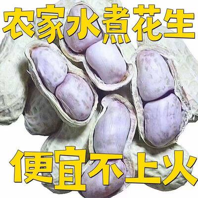 1-5斤特价水煮盐花生晒干白晒不脆口感有嚼劲五香蒜香咸干酥脆