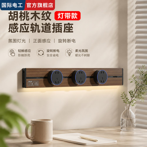 国际电工大功率可移动轨道插座