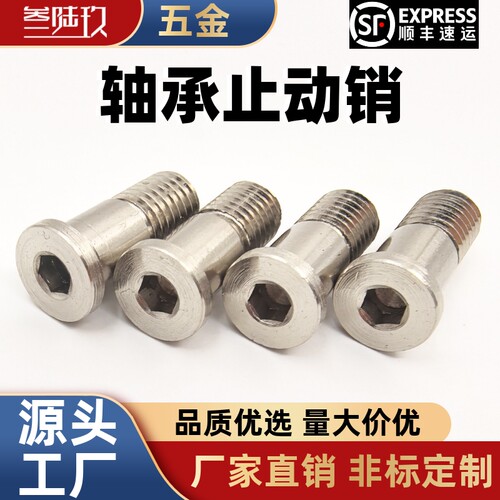轴承止动销BKT02-D6 D8 D10-H9 H11 H13 H14 H17-L20 L25 L30 L40