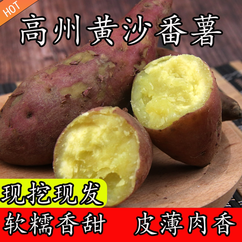 【黄沙番薯】高州古丁现挖新鲜红番薯