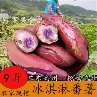 【高州冰淇淋番薯】一点红紫薯现挖新鲜红薯农家自种粉糯香甜地瓜