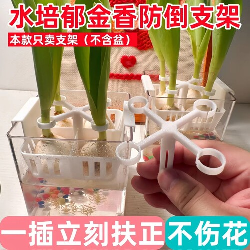 郁金香防倒支架植物护花固定神器