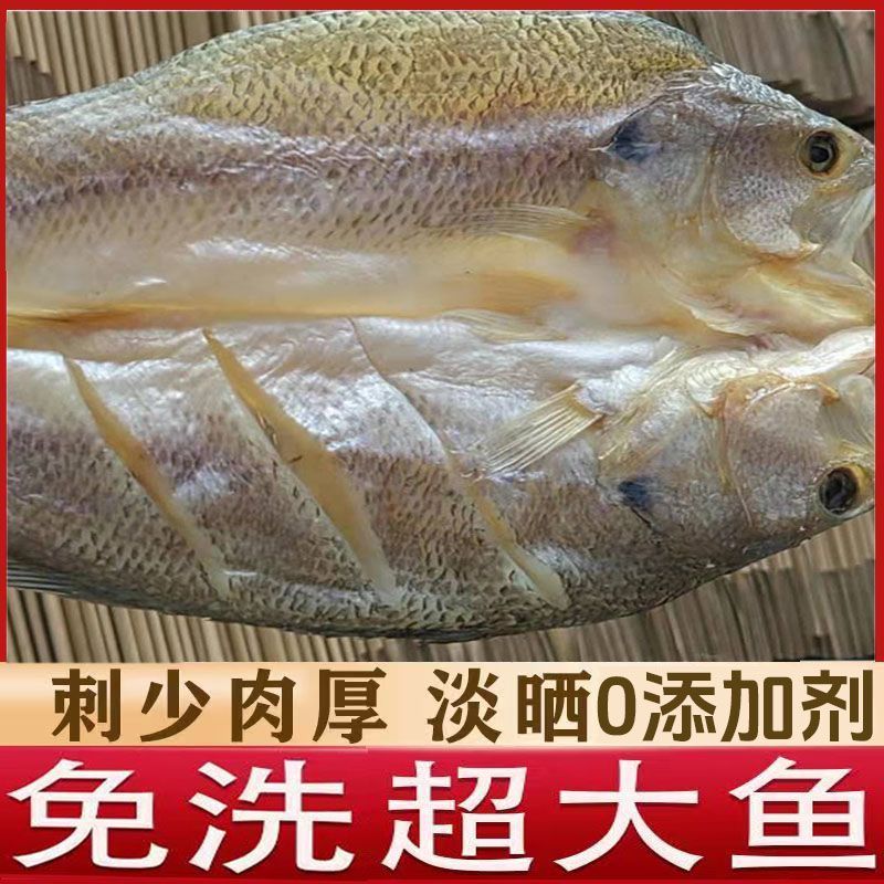 海鲈鱼干风干鲈鱼海鲈鱼开背鲜活新鲜鲈鱼海鲜水产海鱼干淡干无