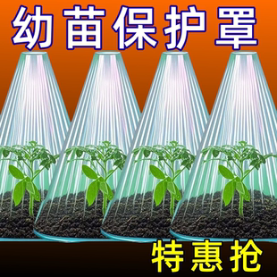 育苗温室保护透明钟罩重复使用植物方形大棚免受鸟类霜冻伤害加厚
