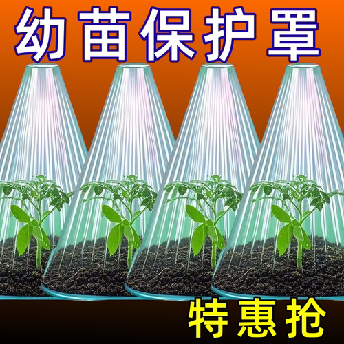 育苗温室加厚透明钟罩防霜防鸟