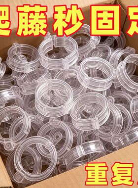 黄瓜西红柿豆角绑枝固定夹绿植蔬菜捆绑扎带藤蔓农用卡扣园艺用品