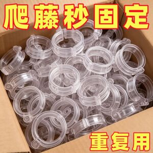 园艺蔬菜藤蔓绑枝固定夹卡扣
