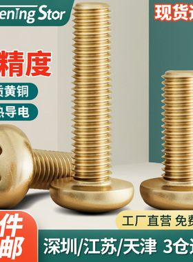 铜圆头螺钉黄铜盘头十字螺丝机丝机牙机箱铜螺丝钉M2M2.5M3M4M6M8