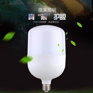 LED灯泡10W20W60W超亮节能灯泡暖黄白光E27螺口工厂车间照明家用