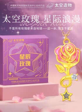 太空造物星辰玫瑰项链礼盒套装520纪念日情人节礼物送女友送老婆