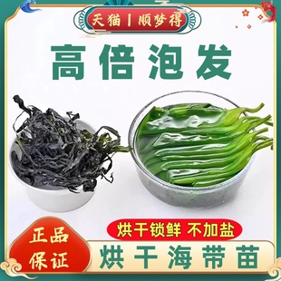 烘干海带苗干货霞浦特产全干海带丝嫩苗火锅凉拌商用批发小包装