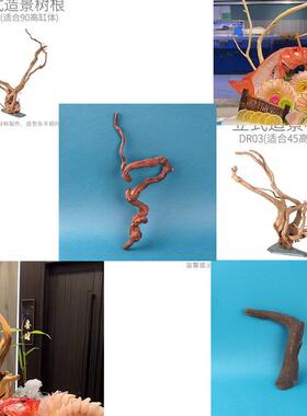 海鲜姿造创意装饰品天然弯树枝树根刺身三文鱼干树枝迎客松枯树枝