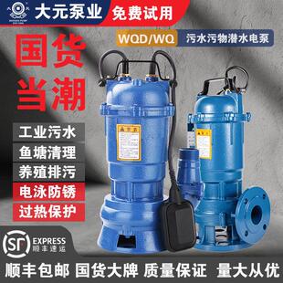 大元污水泵家用吸淤泥抽化粪池污水池抽水泵排涝泵灌溉机自动铸铁