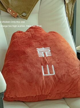 秃鸡! 我也要i做一个背后有靠山的人 创意靠山抱枕送朋友同学礼物